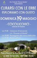 Curarsi con le erbe - Esploriamo con gusto