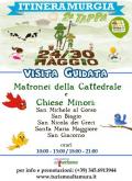 Itineramurgia 2013 