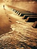 LagoMare - Liriche e Musiche per creature acquatiche