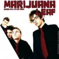 Green Day Tribute - Marjuana Leaf live