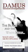 The Black and White Swan...