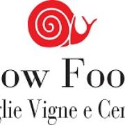 Slow Food Grottaglie Vigne e Ceramiche