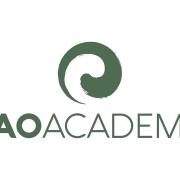 taoacademy