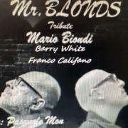 Mr Blonds