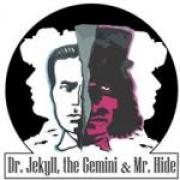 geminihidegroup