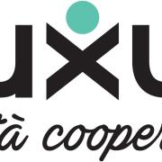 Fluxus cooperativa