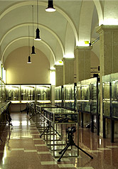 Museo  Internazionale delle Armi Leggere