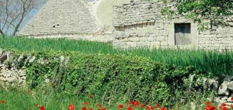 Concorso Fotografico - Realizziamo la Mappa di Comunita' di Valle D'Itria