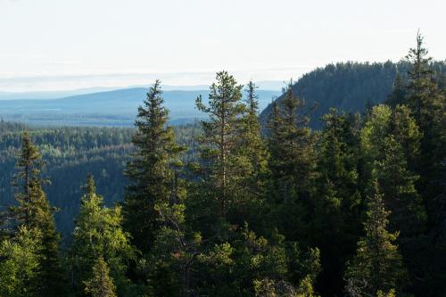 Visitare il Nord Europa