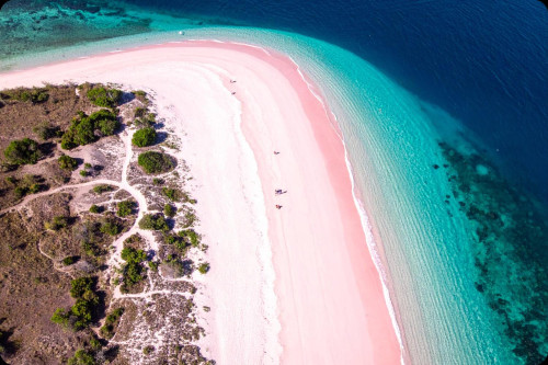 I migliori pacchetti turistici a Komodo per lune di miele, famiglie e viaggi all'aperto