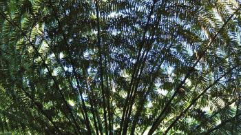 Incontri con i Viaggiatori