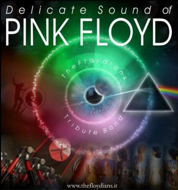 Delicate Sound of Pink Floyd: The Floydians Live
