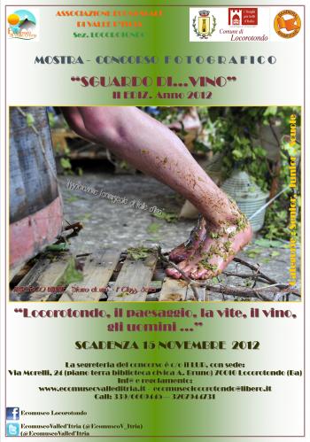 Mostra Concorso Fotografico: Sguardo Di...vino Anno 2012 Seconda Edizione