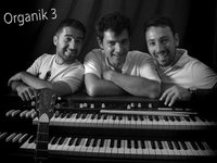 Organik3 live