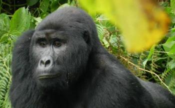 Incontri con i Viaggiatori.