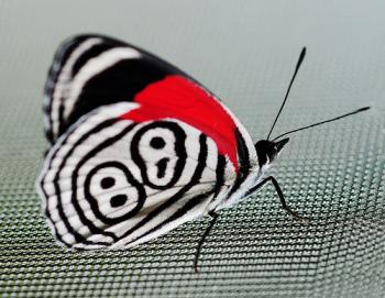 The Eight @ Eight with Riot Selecta