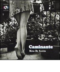 Mino De Santis in concerto 