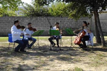 Classica a Natale: le Più Belle Arie Natalizie e Colonne Sonore