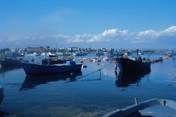 L'addore du Mare