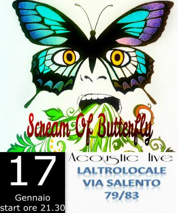 Scream of butterfly - acoustic live