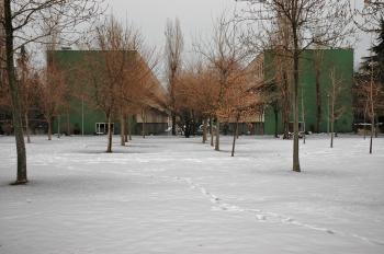 Edilismi 