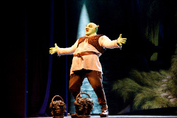 "Shrek - Il Musical"