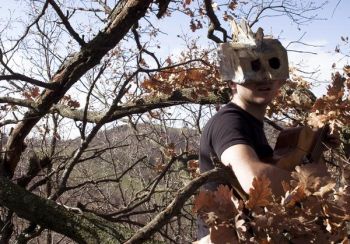 Above The Tree 