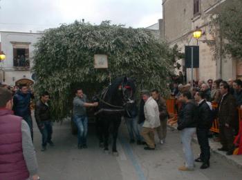 "Zjarre Madhe" e festa patronale