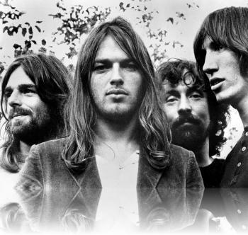 The Floydians - Pink Floyd Tribute Band