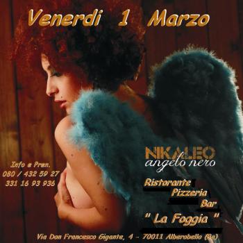 Nikaleo Acoustic Project