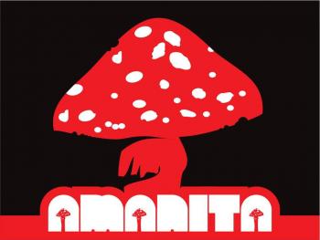 Amanita Jazz live