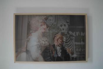 Tassonomia - mostra di Corrado Sassi