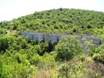 Passeggiata Ecologica – Alla Scoperta Della Macchia Mediterranea