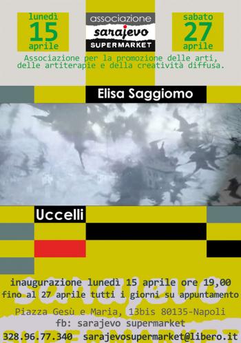 Uccelli di Elisa Saggiomo