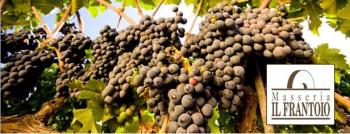Serata dedicata al Vino PRIMITIVO