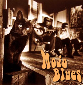 Mojo Blues live Duo