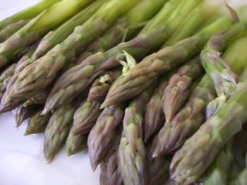 Sagra degli Asparagi 