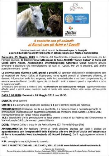Al Ranch con gli Asini e i Cavalli