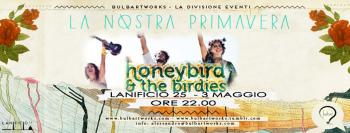 Honey Birds & The Birds