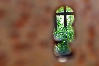 Still Image/Fermo Immagine