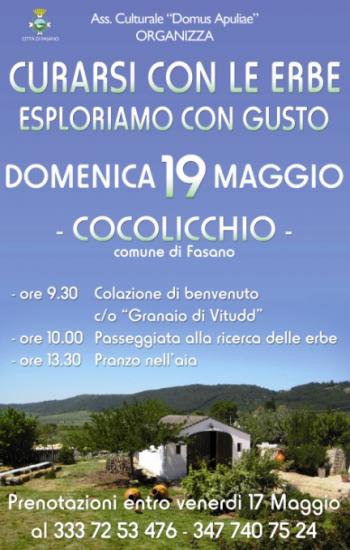 Curarsi con le erbe - Esploriamo con gusto