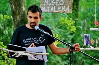 Altalene Nel Bosco 