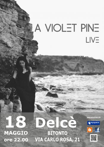 A Violet Pine in concerto