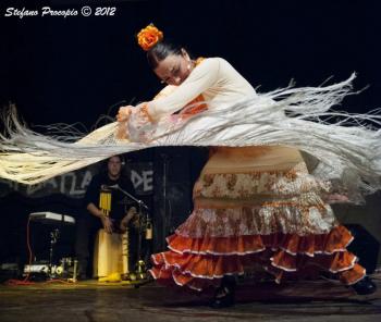 Noche Flamenca