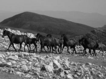 Sulle Orme Del Passato Tra Calanchi, Draghi e Grotte