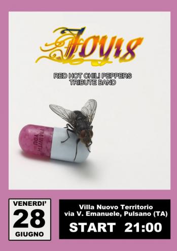 Red Hot Chili Peppers Tribute Band
