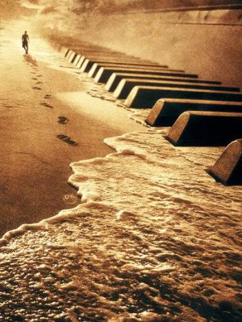 LagoMare - Liriche e Musiche per creature acquatiche