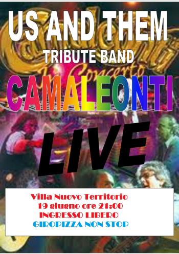 Villa Nuovo Territorio  Estate  2013 - Camaleonti Tribute Band