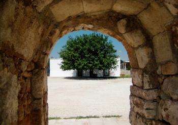 Seminario Alchimia tra Umano, piante e fiori di Puglia
