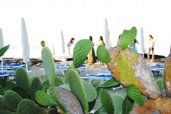 Santos Sunset Party